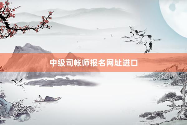 中级司帐师报名网址进口