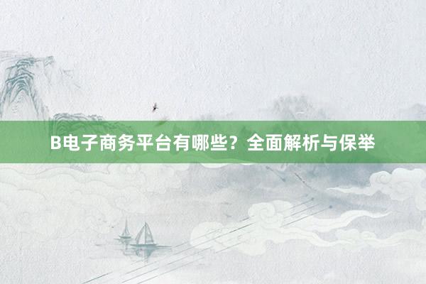 B电子商务平台有哪些？全面解析与保举